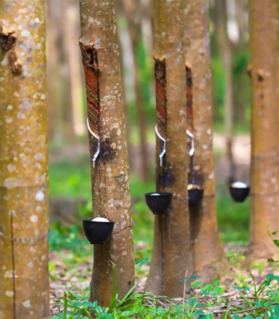Fabricamos productos de caucho | Industrias CADI